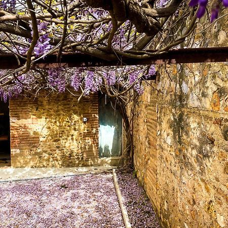 Gite De Charme Du Domaine Pagnon Guillemette Torreilles Exterior foto