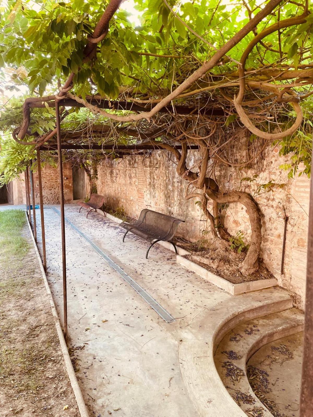 Gite De Charme Du Domaine Pagnon Guillemette Torreilles Exterior foto