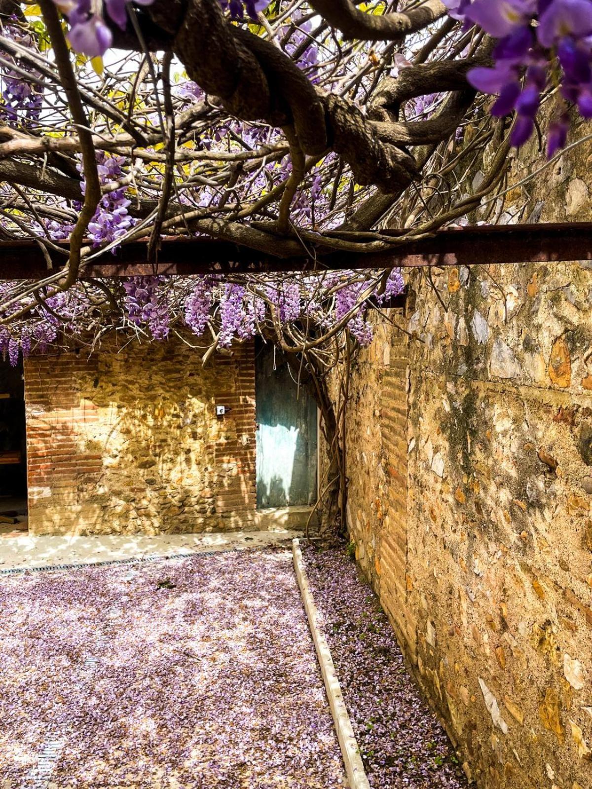 Gite De Charme Du Domaine Pagnon Guillemette Torreilles Exterior foto